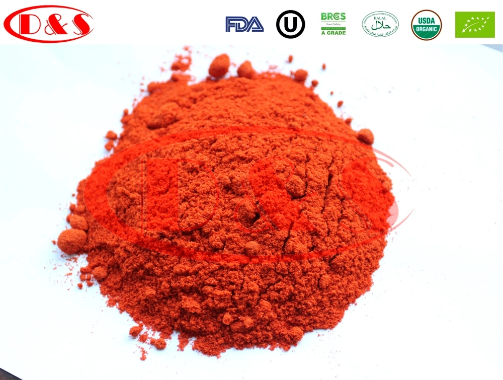 Wholesale Seasoning Spice Powder Red Chili Powder Distributor