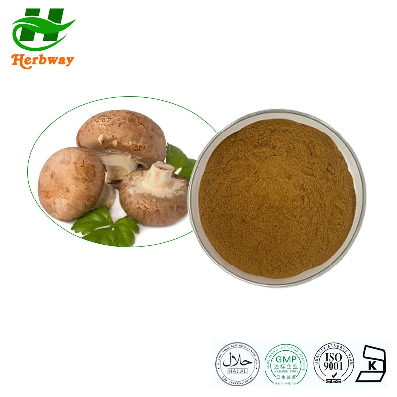 Herbway Natural Plant Extract Kosher Halal Fssc HACCP Certified Hericium Erinaceus Extract Polysaccharide Shiitake Mushroom Extract Powder