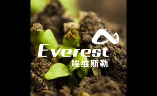 Everest pflanzliche Aminosäure 80 % Pulver