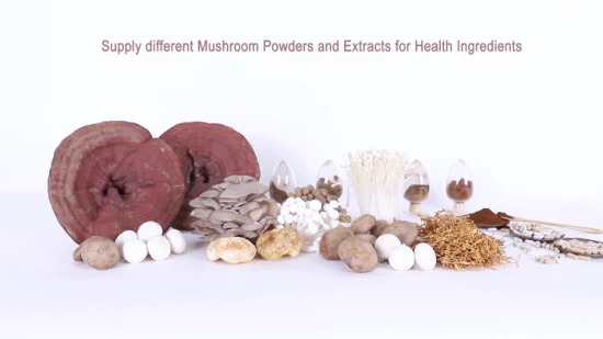 Reishi-Pilz-Kräuterpulver, Tremella-Pilz, Shiitake-Pilz, Maitake-Pilz-Pflanzenextrakt als Pilzmischungen